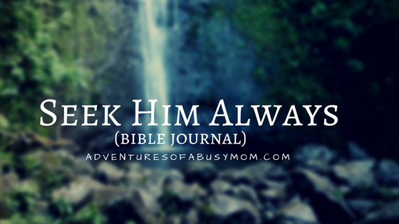 Seek Him Always (bible journal).png