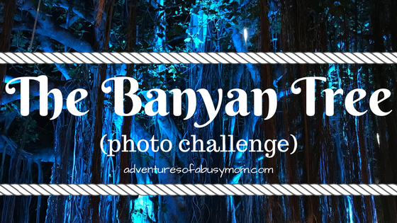 The Banyan Tree.png