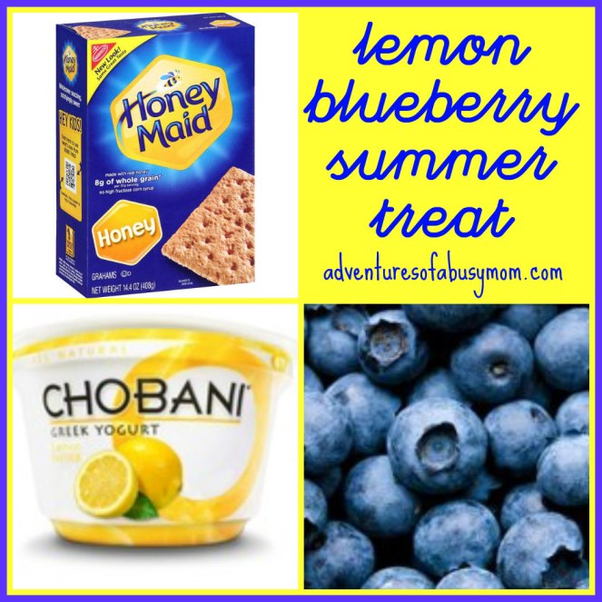 Lemon Blueberry Summer Treat